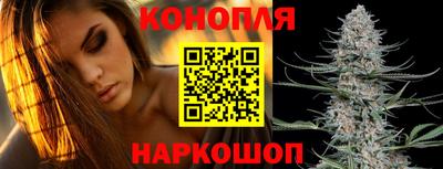 СК Новозыбков