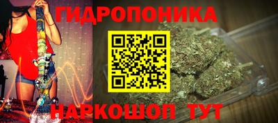 мдпв Новокубанск