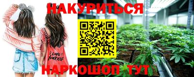 мдпв Новокубанск