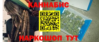 СК Новозыбков