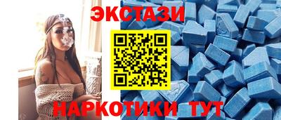 СК Новозыбков