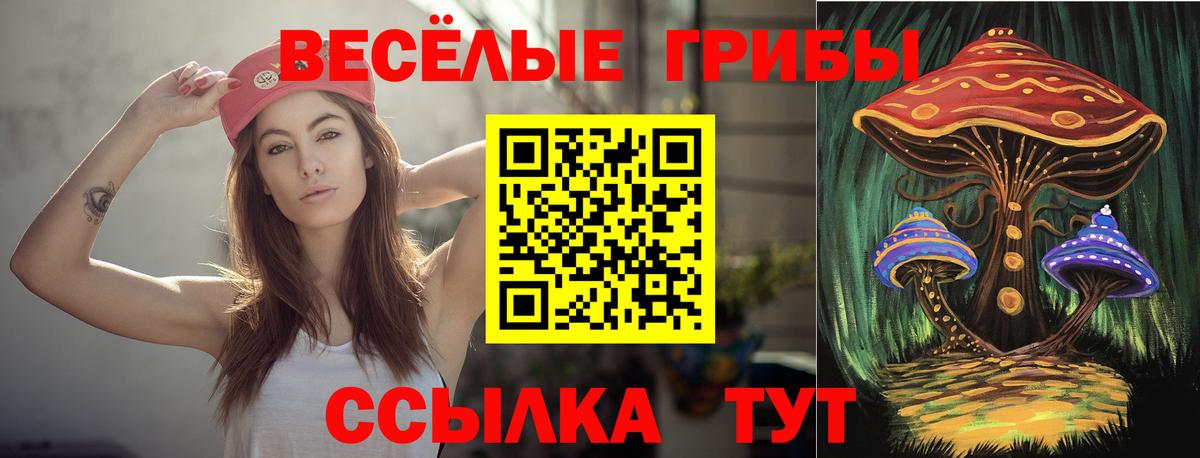 Галлюциногенные грибы Psilocybine cubensis Славгород