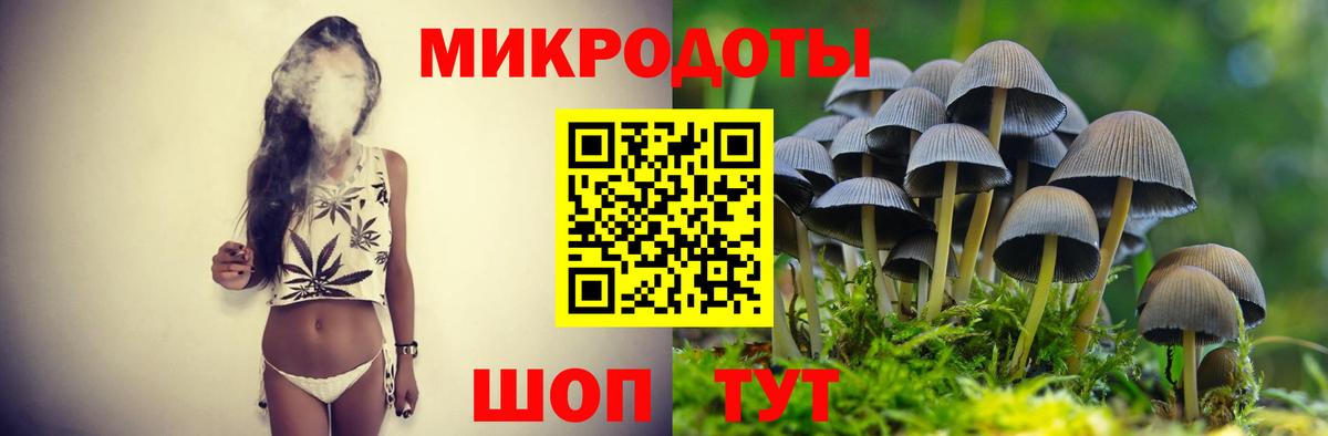 Псилоцибиновые грибы Cubensis  Галлюциногенные грибы мицелий  Славгород  Вход с VPN 